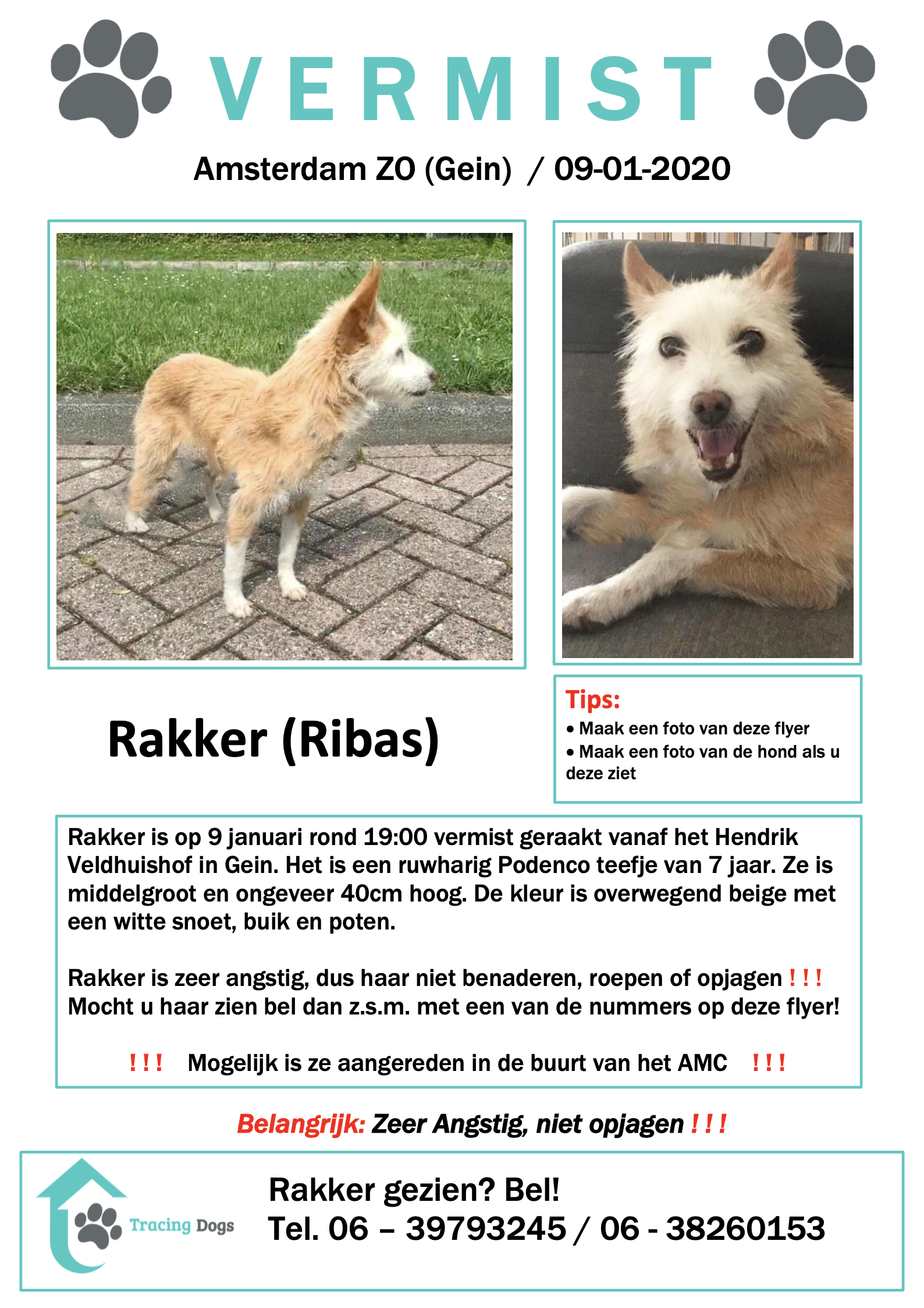 flyer nieuw